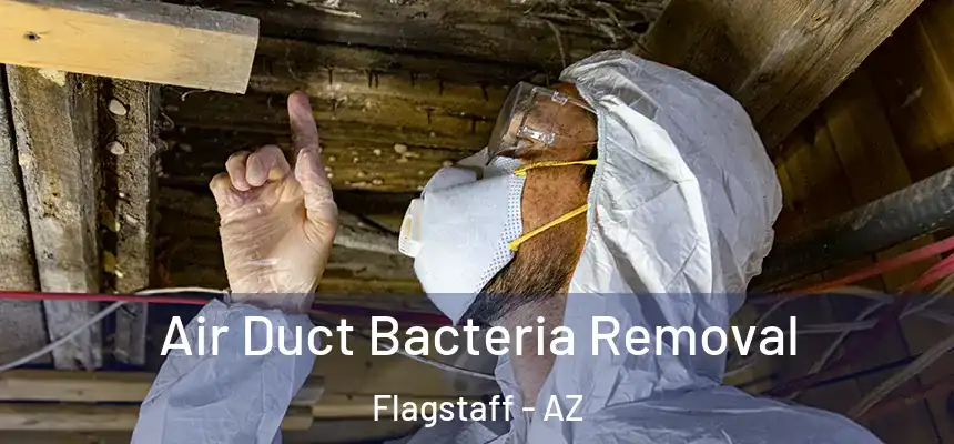 Air Duct Bacteria Removal Flagstaff - AZ