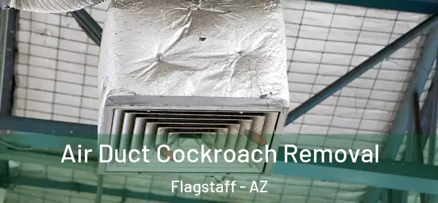 Air Duct Cockroach Removal Flagstaff - AZ