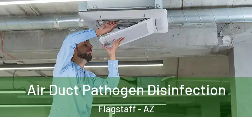 Air Duct Pathogen Disinfection Flagstaff - AZ