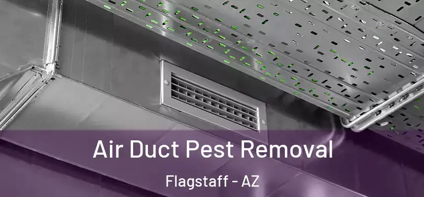 Air Duct Pest Removal Flagstaff - AZ