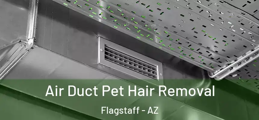 Air Duct Pet Hair Removal Flagstaff - AZ