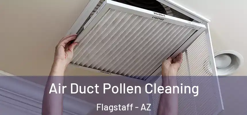 Air Duct Pollen Cleaning Flagstaff - AZ