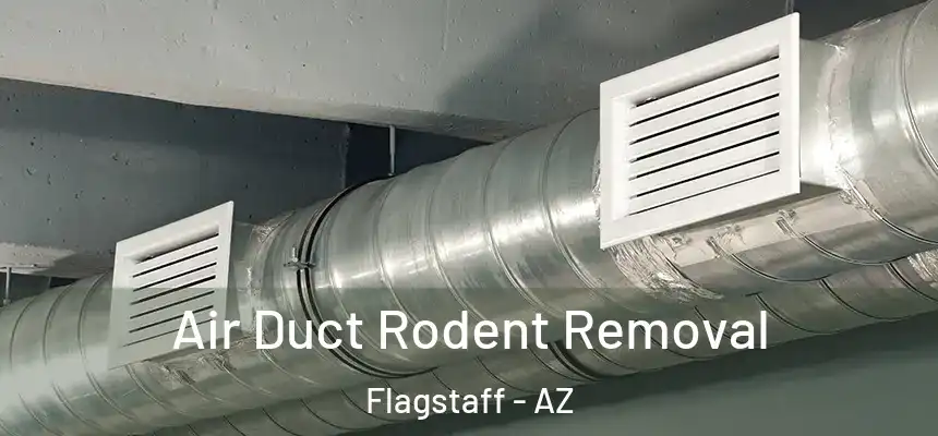 Air Duct Rodent Removal Flagstaff - AZ