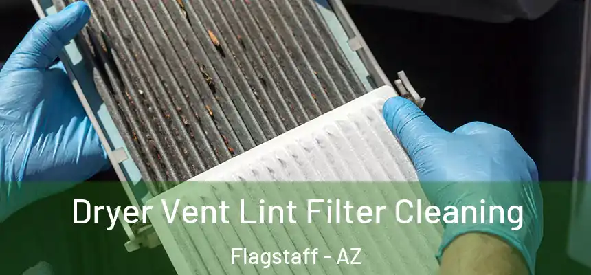 Dryer Vent Lint Filter Cleaning Flagstaff - AZ