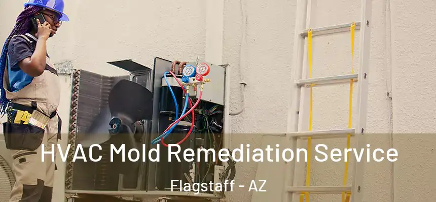 HVAC Mold Remediation Service Flagstaff - AZ