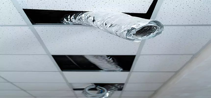 Affordable HVAC Sanitizing After Pest Removal in Flagstaff