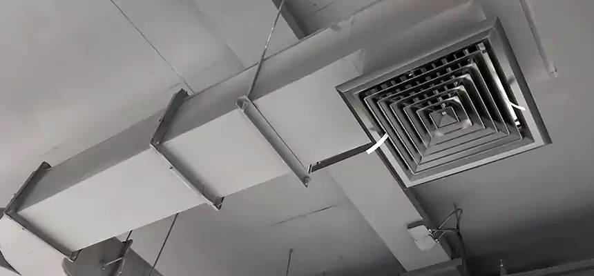 Restorative Allergy Relief Vent Cleaning – Coil, Blower & Housing Detail in Flagstaff