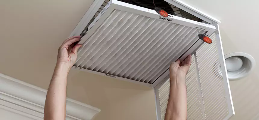 Our Insect Removal from Air Ducts Services in Flagstaff, AZ
