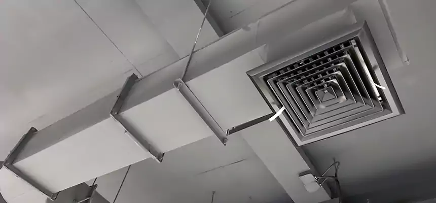 Our Pest Removal From Ducts Services in Flagstaff, AZ