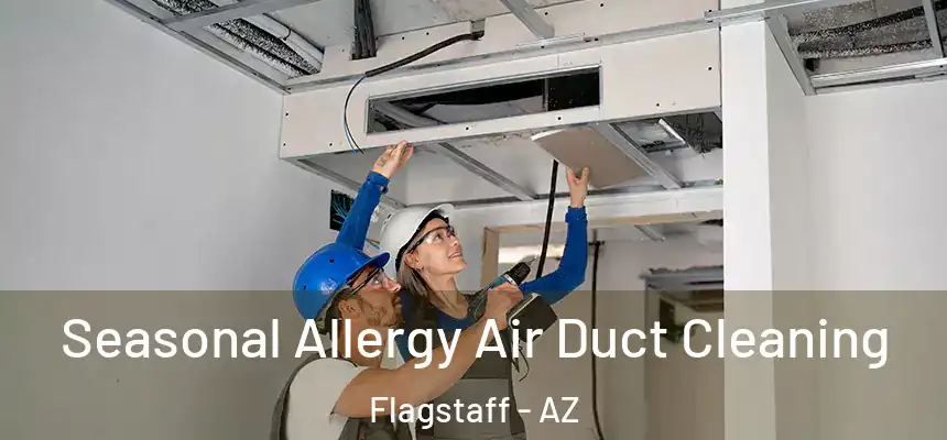 Seasonal Allergy Air Duct Cleaning Flagstaff - AZ