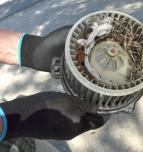 About Air Duct Mice Removal in Flagstaff, AZ