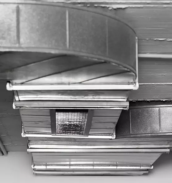 Professional Air Duct Pest Removal in Flagstaff, AZ