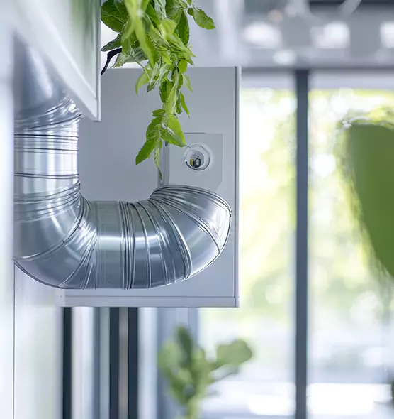 Professional Eco-Friendly Duct Cleaning Services in Flagstaff, AZ