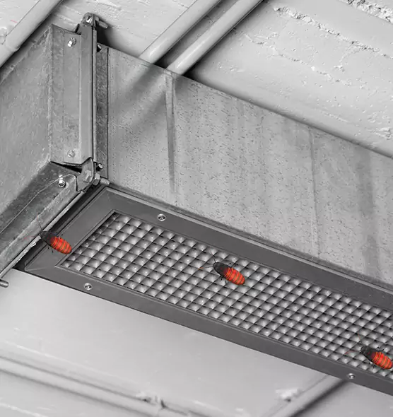 Affordable Insect Removal from Air Ducts in Flagstaff, AZ