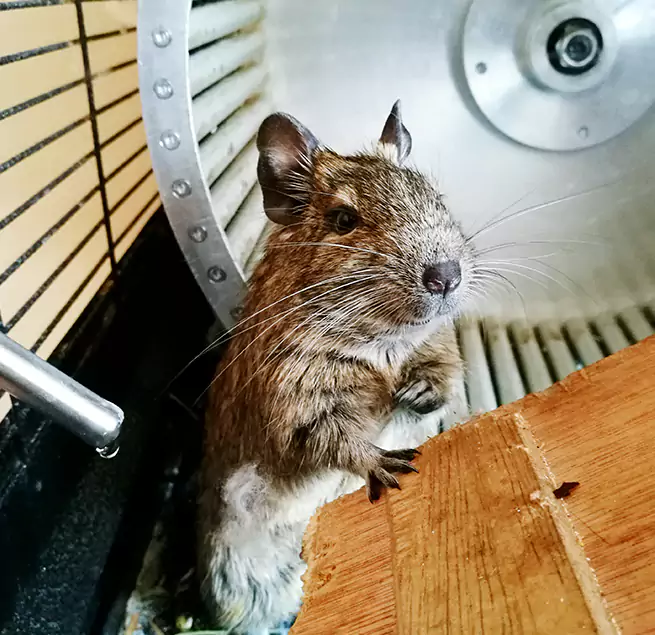 Why Homeowners & Businesses Trust Us Flagstaff, AZ?