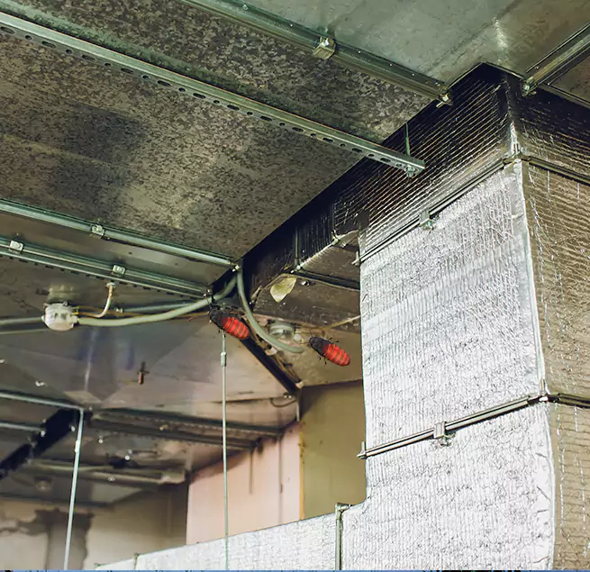 Why Homeowners & Businesses Trust Us Flagstaff, AZ?